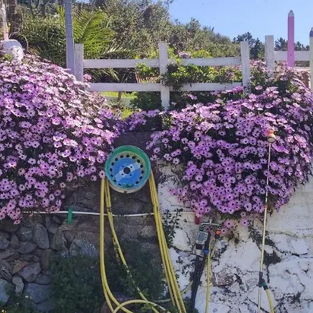 Agrifazenda 住宿加早餐酒店 4*