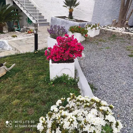 B&B Agrifazenda