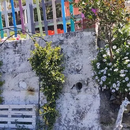 Agrifazenda 코골레토