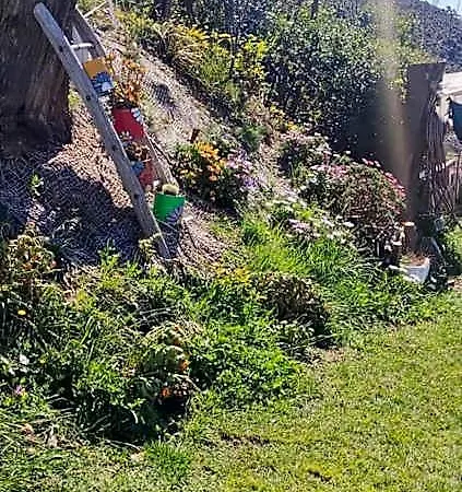 Agrifazenda
