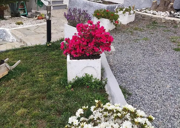 Bed and Breakfast Agrifazenda