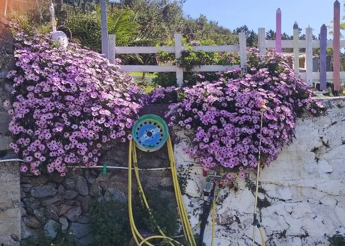 Agrifazenda Bed and Breakfast 4*