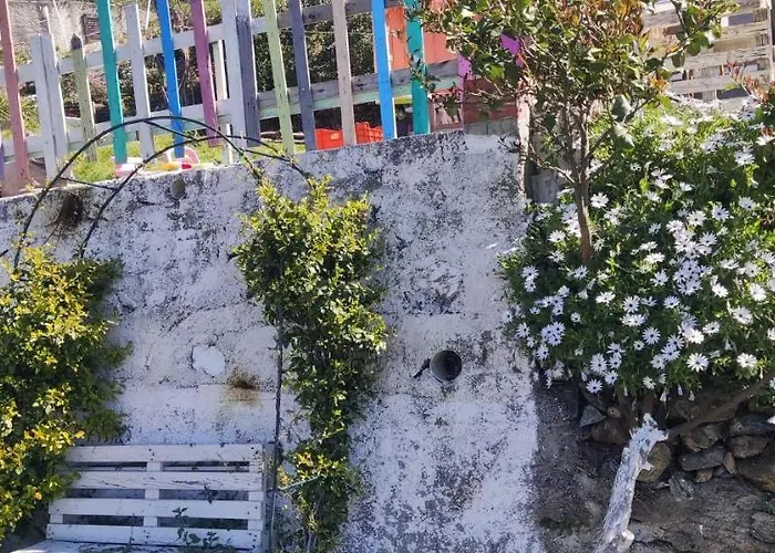 Agrifazenda Cogoleto